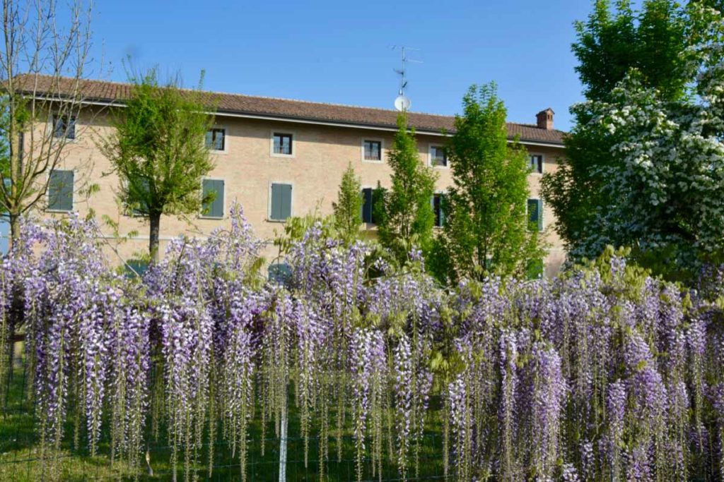 Sedi e contatti - Centro Tice correggio-tice-sede-principale