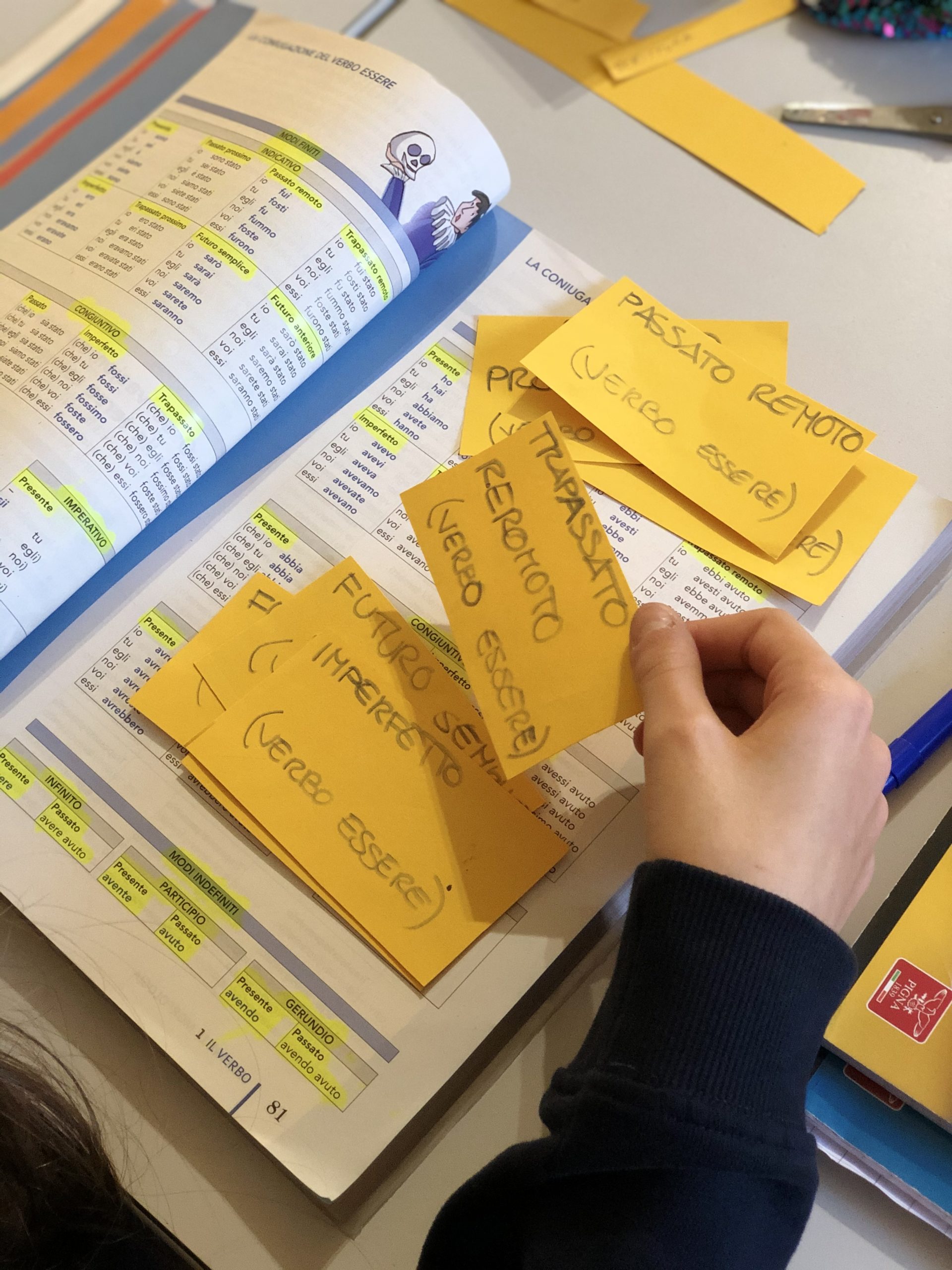Flashcard Organization