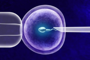 fecondazione-eterologa-tice