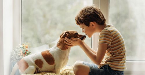 bambino maltratta animale bambino maltratta animale